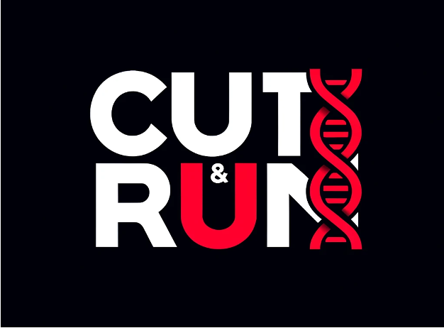 Cut&Run