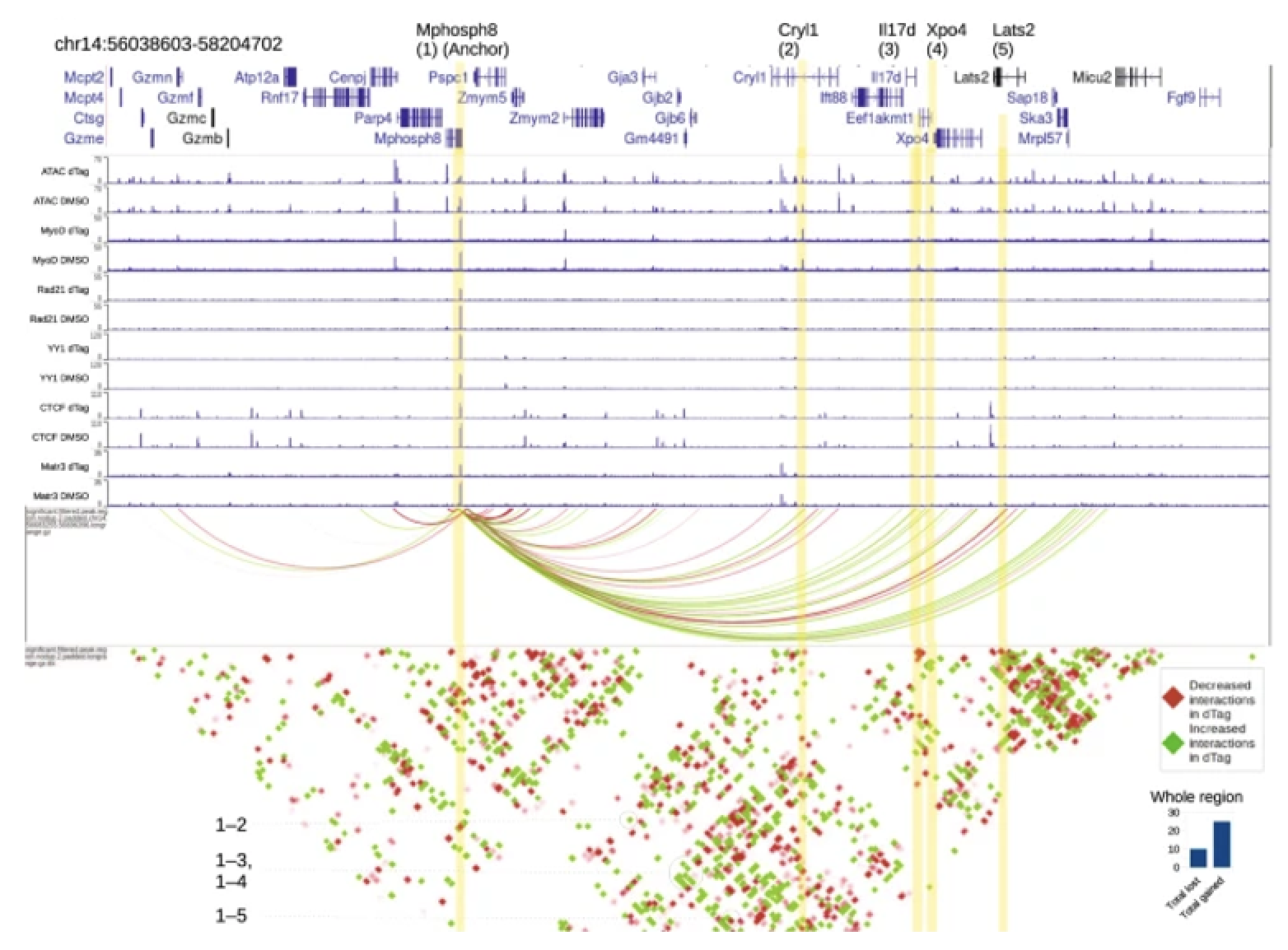 3D Genome Structure, Chromatin Reorganization, and Epigenetics in Development and Developmental Disease