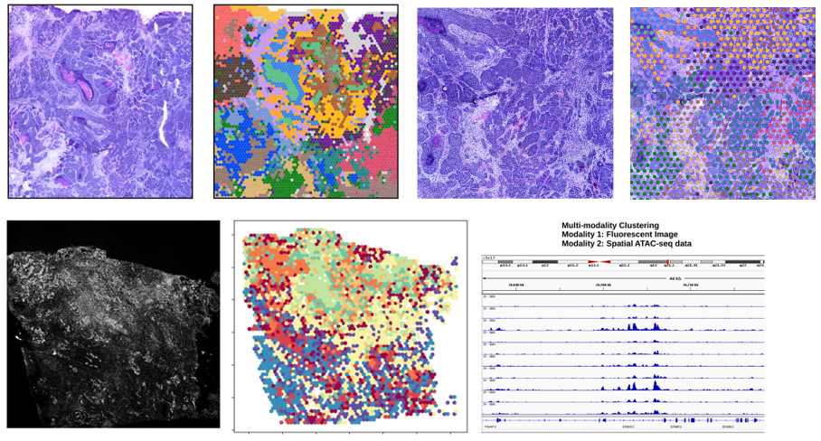 Spatial Multiomic and Multimodal Integration image