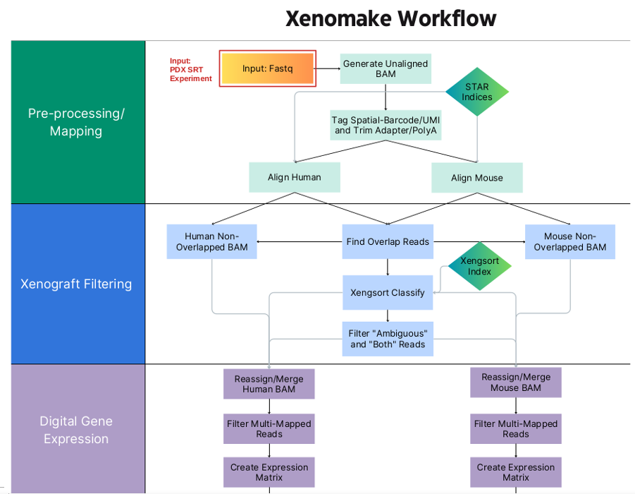 Spatial Pipeline, Tools, and Web Server Development